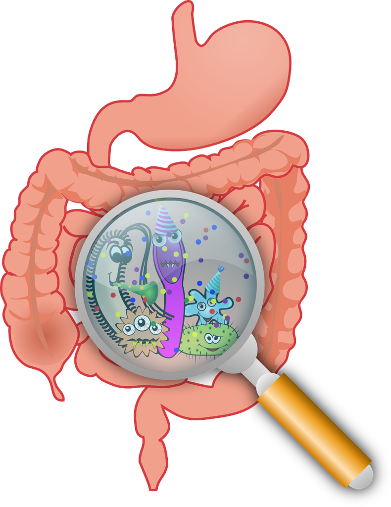 How to Make Probiotic Fruit Juice by improva herbal products 2025